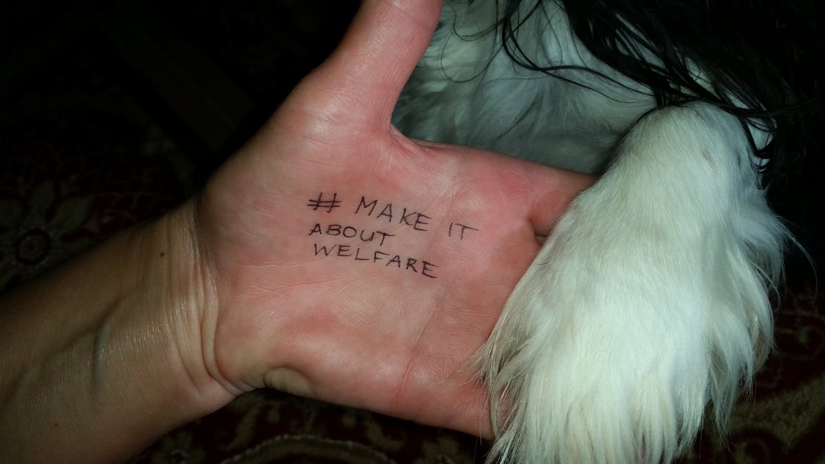 LizTT7's tweet photo. Our dogs are in good hand
#makeitaboutwelfare 
#amendthebill
#danielandrews
#jaalapulford https://t.co/RLwbR23NS5
