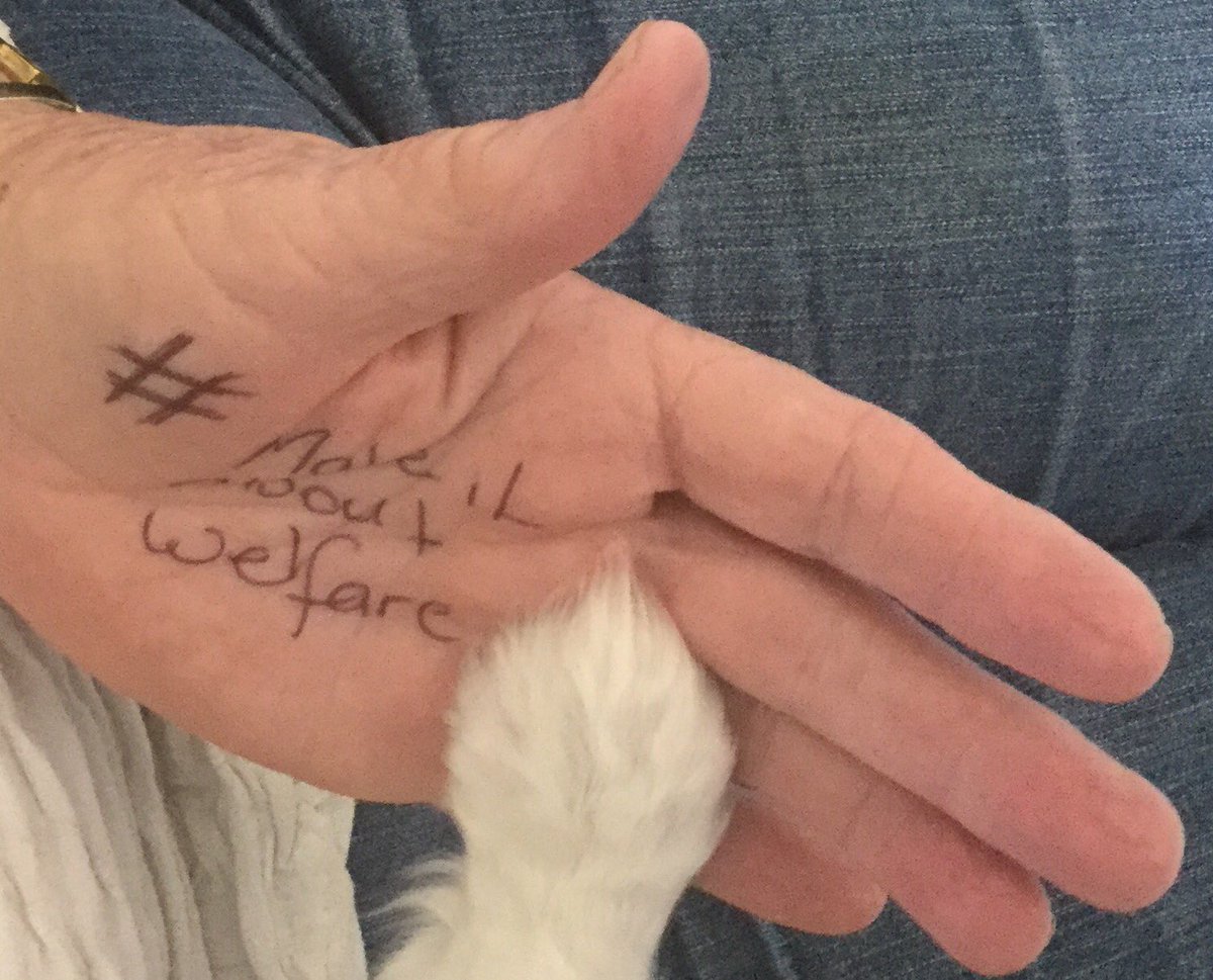 trishfernleigh's tweet photo. #jaalapulford #amendthebill #makeitaboutwelfare https://t.co/fIlIJ0Jj4Z