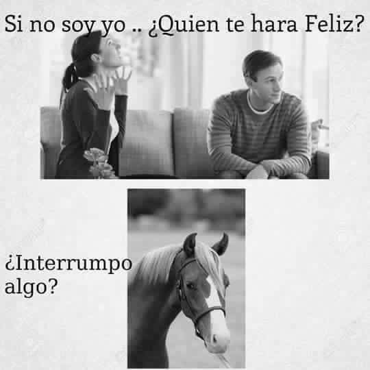 Hipicashelly's tweet image. Felicidad plena