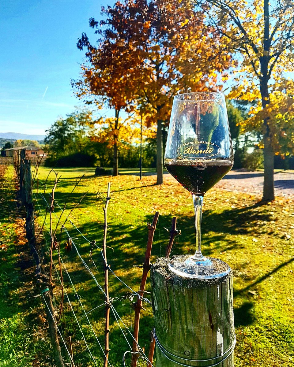 BondiWines's tweet photo. ๐ทโ#enjoydecember โ๐ท
https://t.co/Wj1NvVLLed
#bondiwines #dicembre #december #dezember #wine #wein #vino #natura #nature #natur #wineglass https://t.co/fGbSzdHOaw