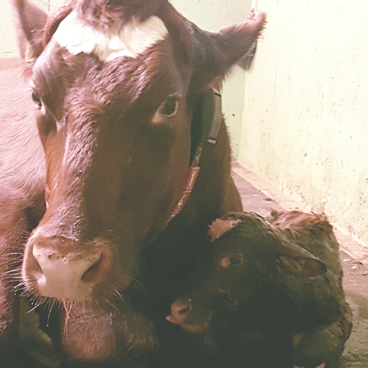 Lykke på ein fredag. God helg!