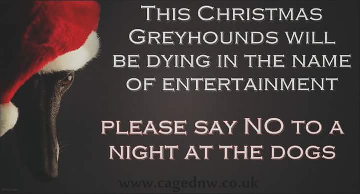 foxloverzula's tweet image. Don&apos;t forget !! Make it your new years resolution!