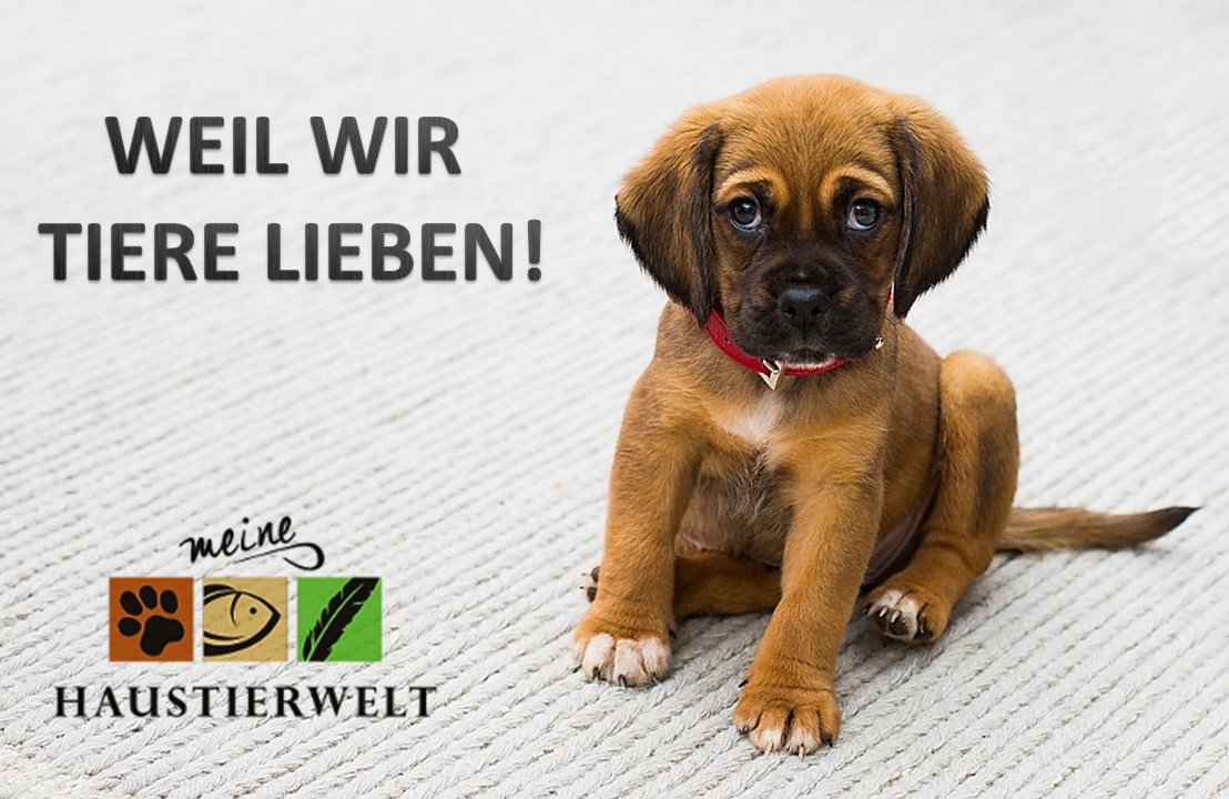 Du liebst #Tiere? Wir auch! Erfahre mehr über artgerechte und gesunde #Tierhaltung auf unser Facebook-Seite facebook.com/meinehaustierw…