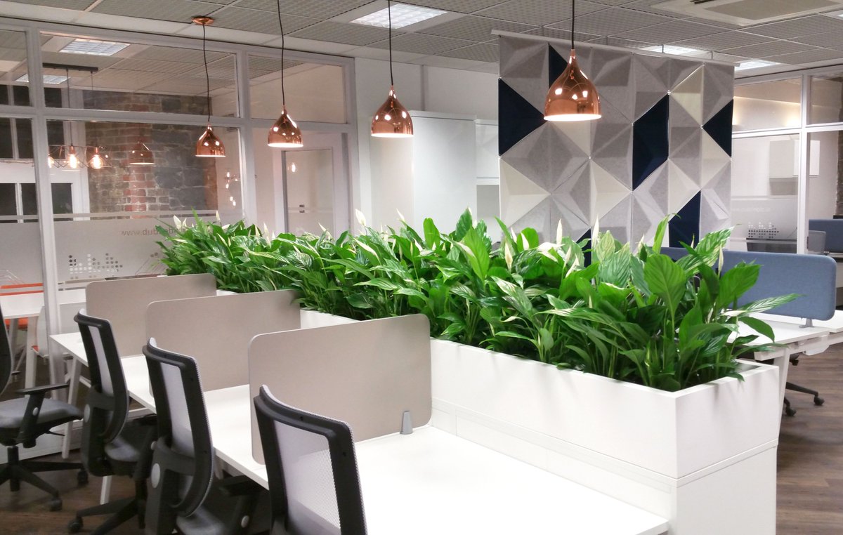 Furthr_ie's tweet image. We are so excited with our newly decorated office space a HUGE thank you to @workspaceint amazing work!! The @BICDublin team love the space!