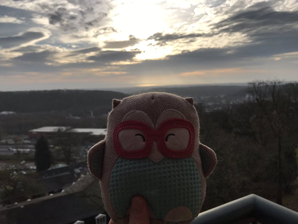 LeeFallin's tweet photo. #bjlpip is enjoying his adventures in @TheCelticManor for #srhe2016 / #srhenr2016 @HullUni_Library https://t.co/FboAd5PNtC