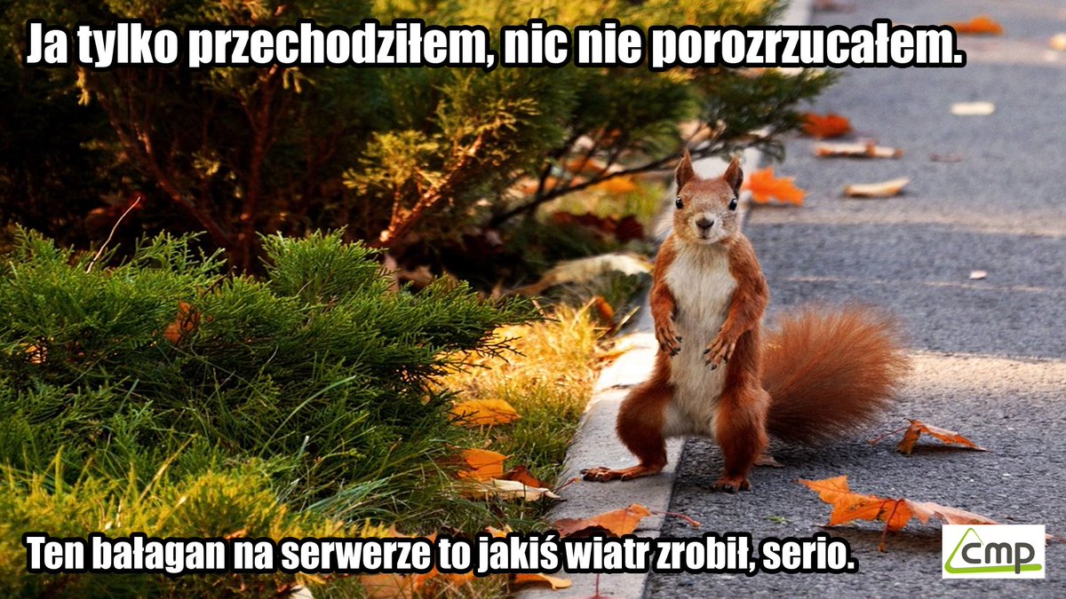 CompFort_M's tweet photo. Kto zrobił bałagan na serwerze? Ale tak serio! https://t.co/nboF4d8sX5