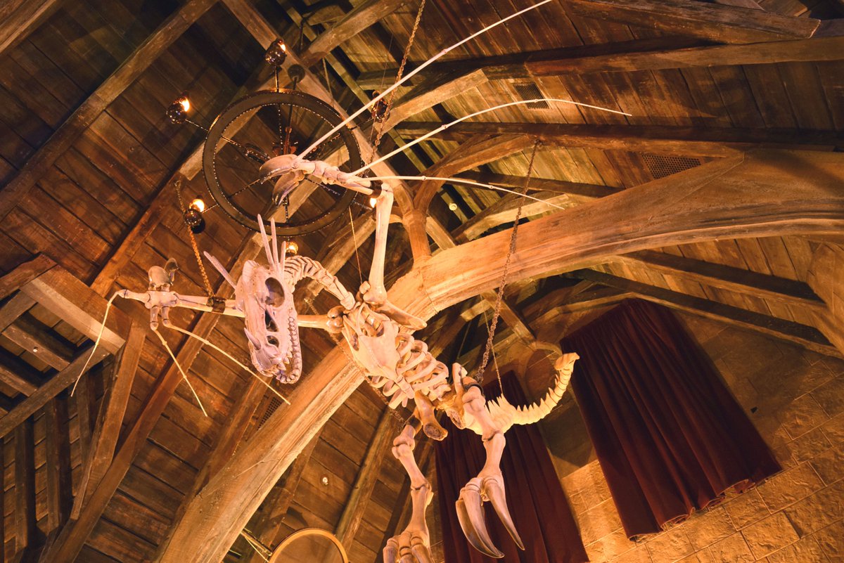 Usj情報局 L C A Studios Ar Twitter 闇の魔術に対する防衛術 の教室 実際行ってみると暗いので 写真で明るく撮ってみました 天井にはドラゴンの骨格標本がありますヨ たまに 透明マント にギュウギュウ状態のハリー ロン ハーマイオニーに会えることも