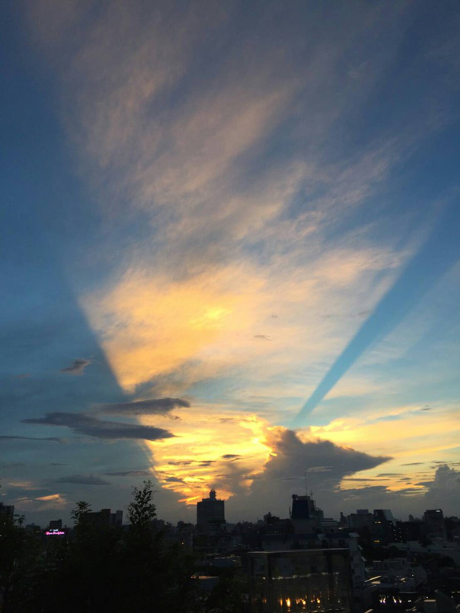 成宮寬貴hashtag 成宮寬貴hashtag