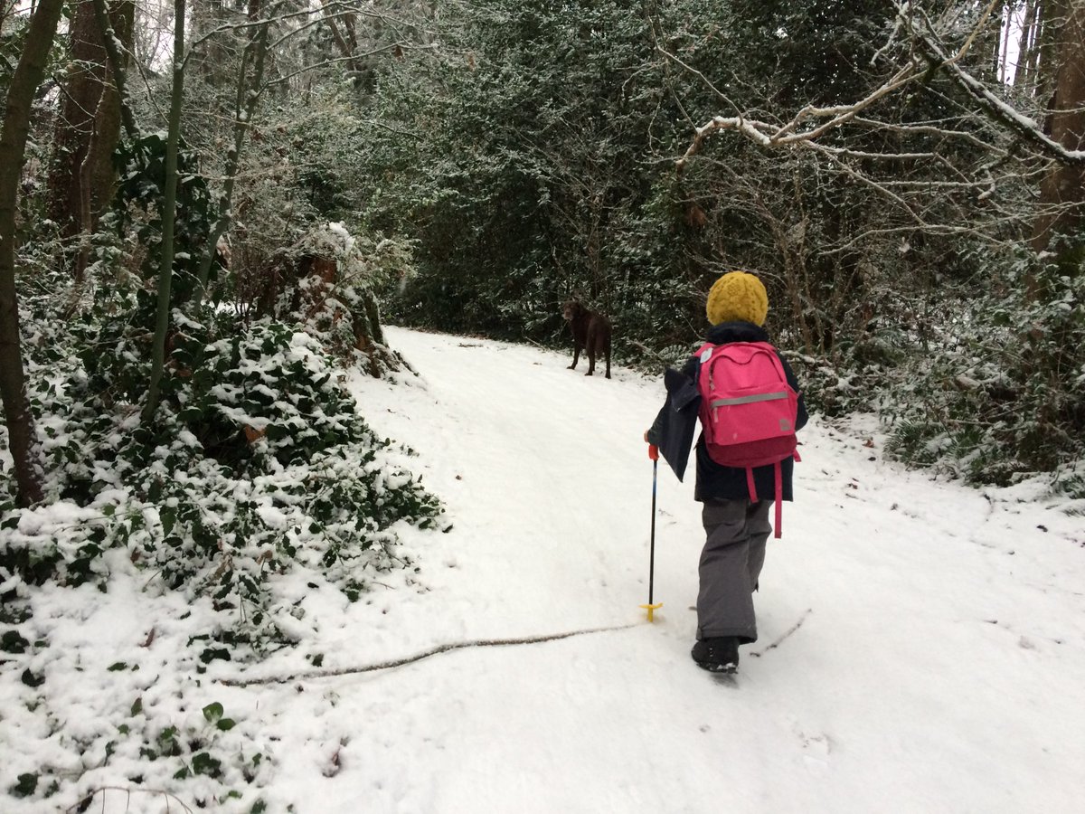 vanchossie's tweet photo. @NorthShoreSRA The slow way to school. #brooksbankelementary https://t.co/hr4JjHMhg4