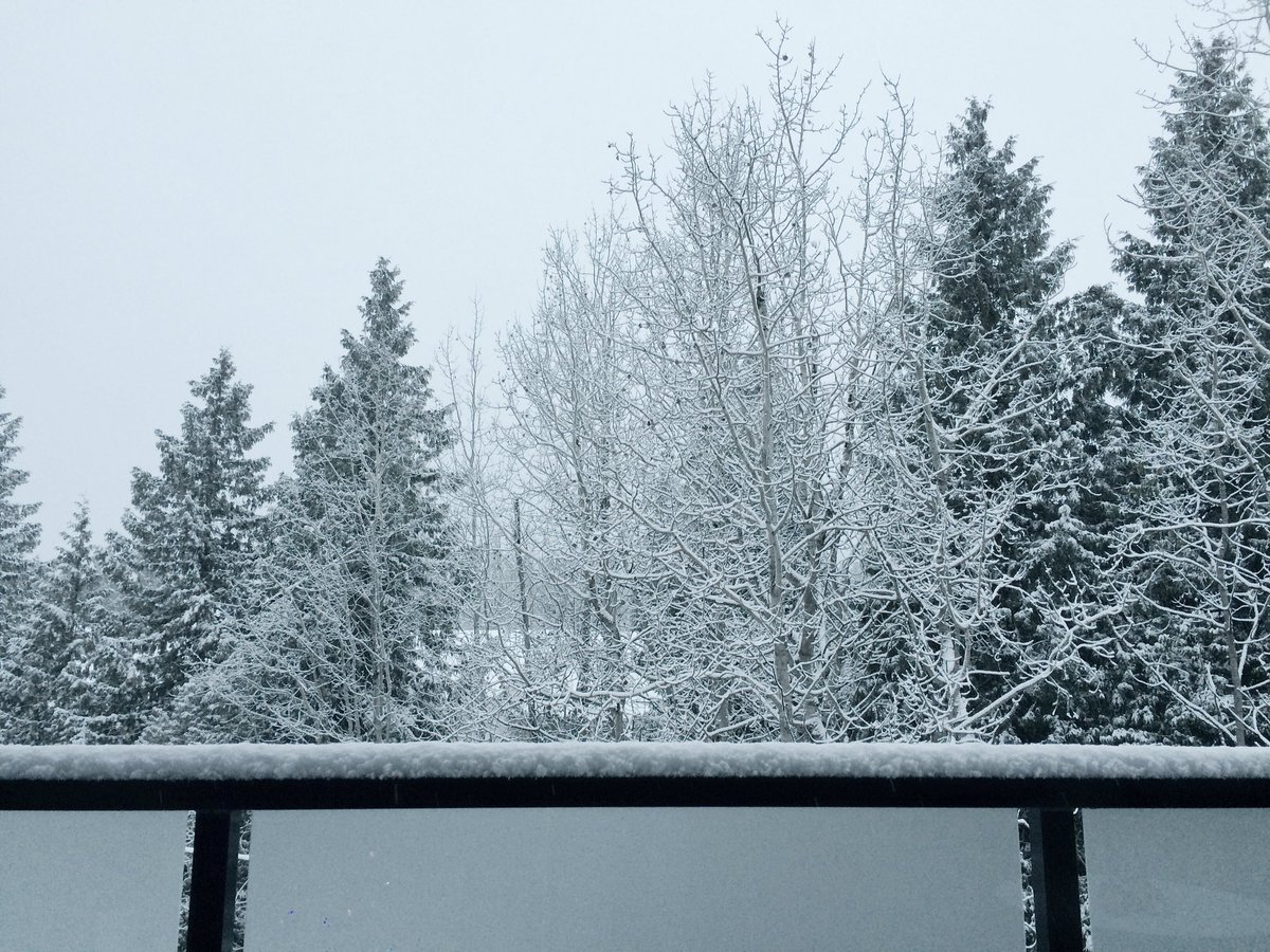 katzpix's tweet photo. Still snowing in Brentwood Bay (Central Saanich) #bcstorm #snow @CTVNews @GlobalBC @cbcnewsbc https://t.co/Jijx1RZUUM