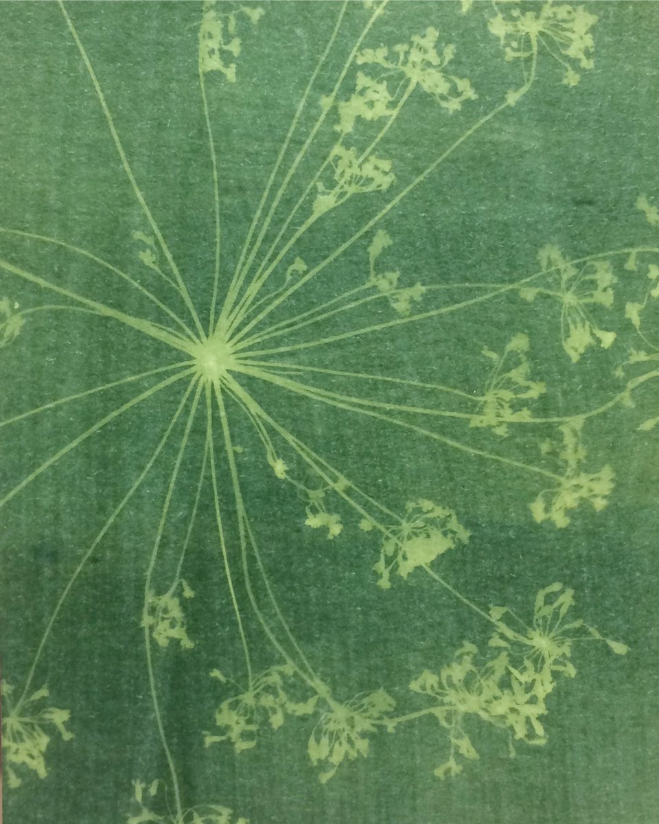 artscigallery's tweet image. Last Chance to sign up for Sunday's Solar Printmaking #workshop! Sign Up Today: solarprintsunday.eventbrite.com #eastaustin #atxweekend