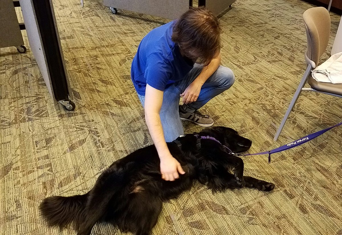 EmoryLibraries's tweet photo. Our puppy study break yesterday was a great stress buster at #Emory #WoodruffLib! #emorystudybreakdogs https://t.co/Qh3DtNHxGD