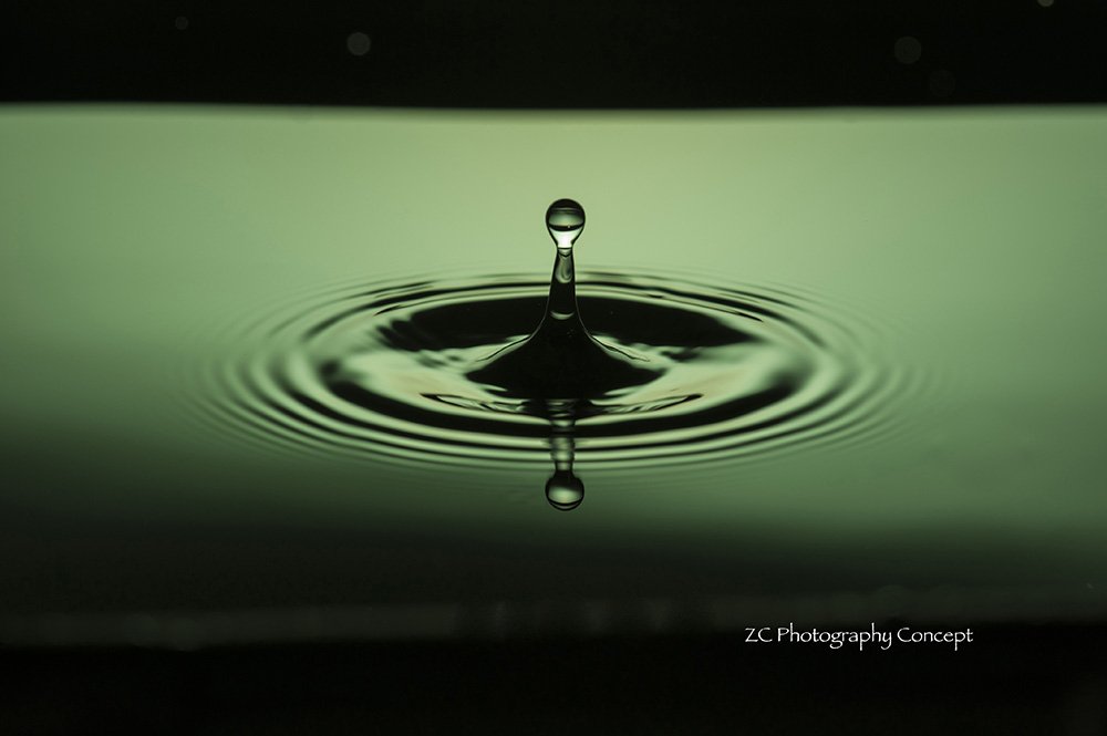 ZC Photography Con. tweet media