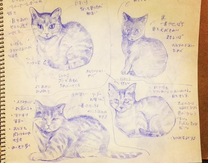 ネコさんスケッチしてきました。
#イラスト #スケッチ #猫 #野良猫 