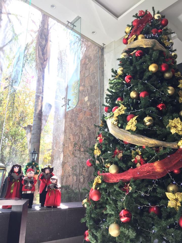 HotelPanoramaSL's tweet photo. ¡La Navidad ya se siente en @HotelPanoramaSL! Vive una experiencia diferente esta Navidad. Disfruta de nuestra tarifa especial. https://t.co/HswDMUg9ta