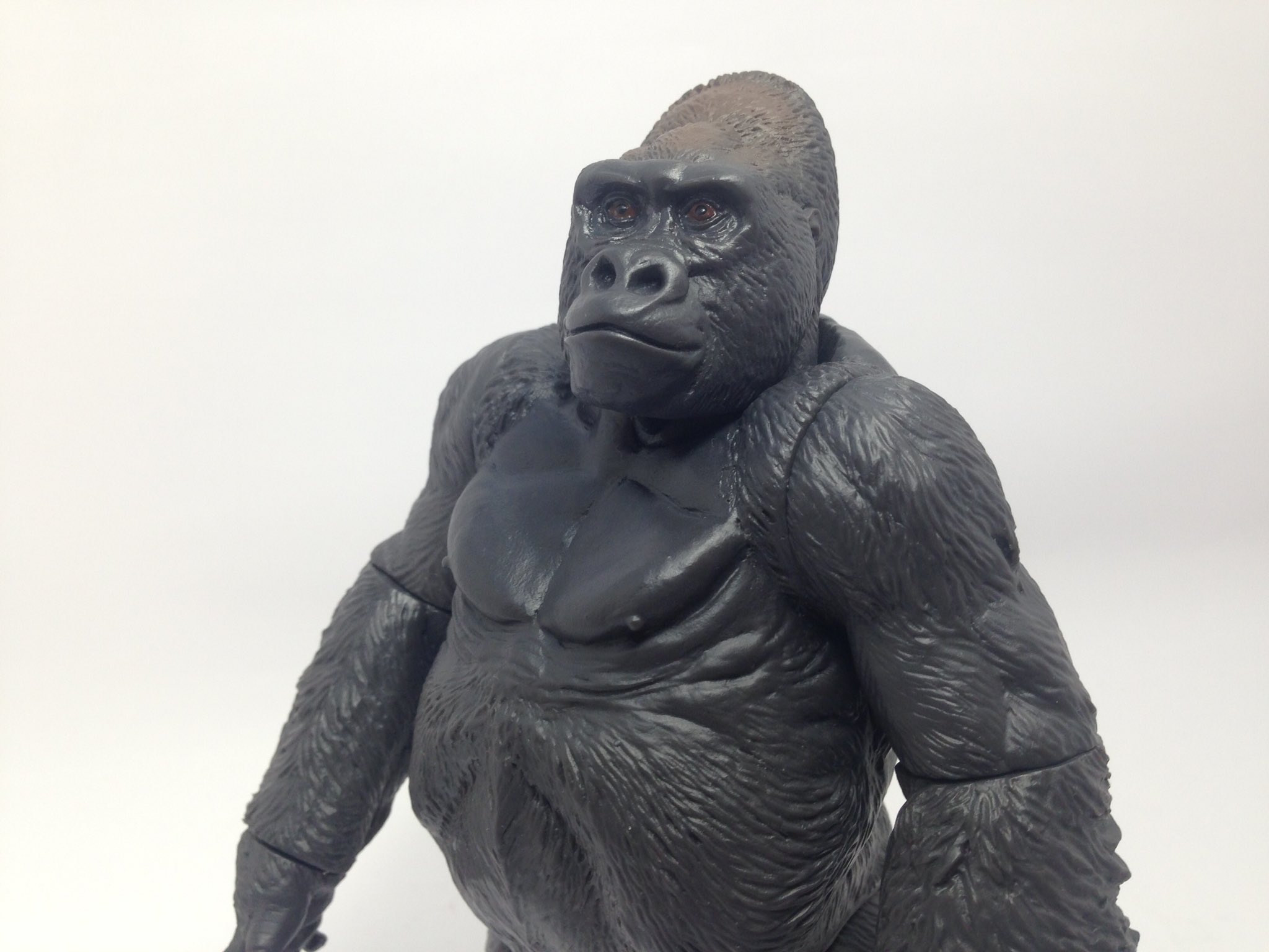 ふぇい クラス バーサーカー 真名 ゴリラ 宝具 黄金色の果実 ゴリラ ゴリラの中のゴリラ その巨腕から繰り出される攻撃は大木を揺らし果実を手に入れる程 両手で胸を叩き敵を威嚇 自身を鼓舞する 相手の行動を真似て自分のものにできる能力を持つ