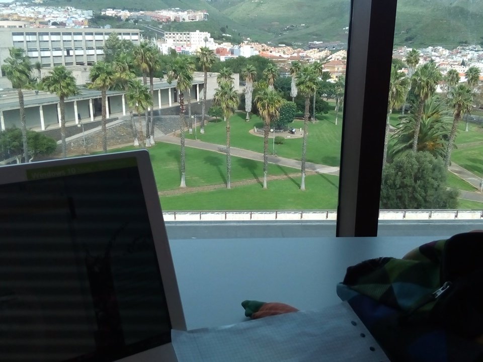 InfoStudULL's tweet photo. Estamos disfrutando las vistas de la Biblioteca Central. Si quieres enterarte de cuáles son las mejores bibliotecas, visita nuestra página💻📲 https://t.co/IramAiPVmM