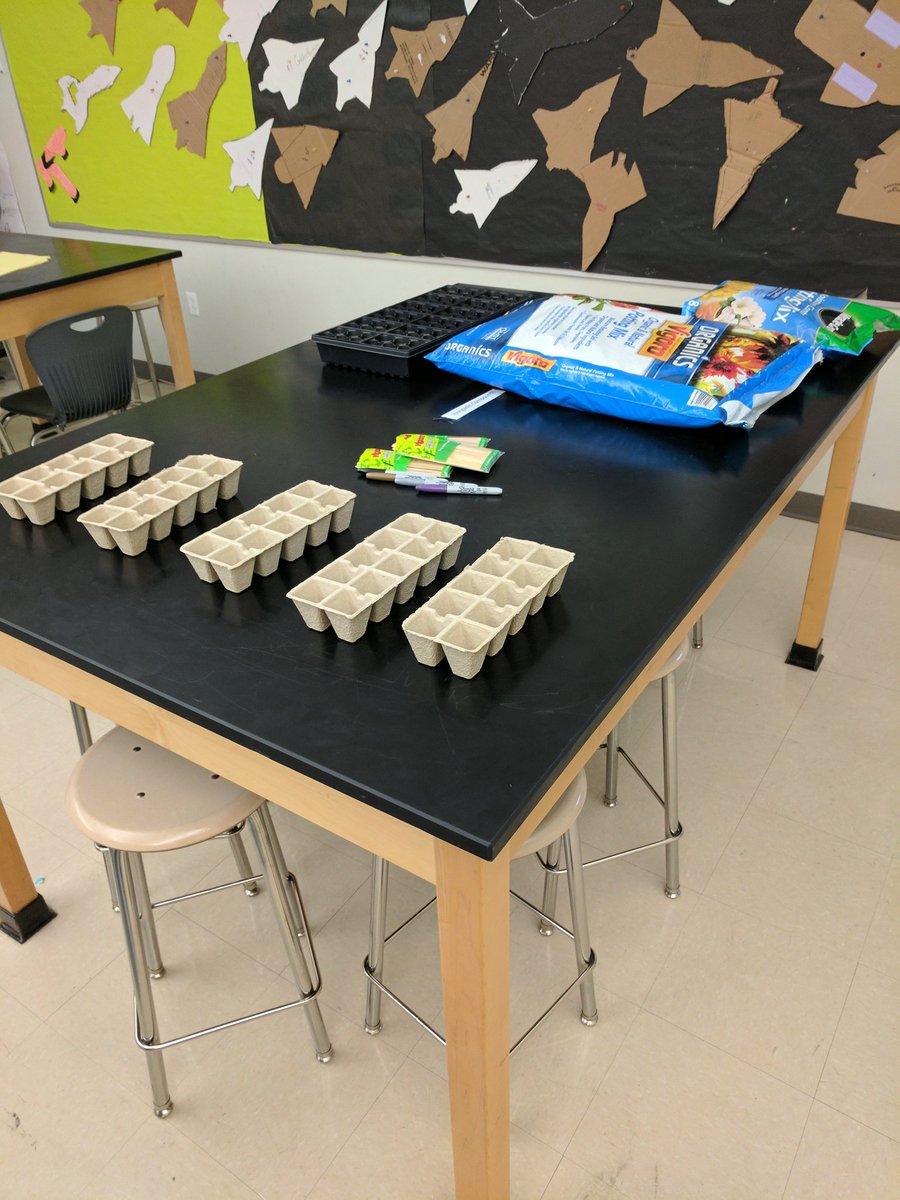 Jackson_Fzx's tweet image. Community development, project based learning, AND environmental awareness all in one? I think so. #science #8thgrade #learningiscaring