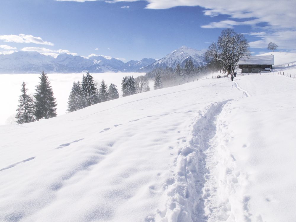 Wanderung der Woche:
Oberhalb der rechten Thunerseeseite und bis hinüber zum Zulggraben.

Infos unter:
buff.ly/2gi8iPX