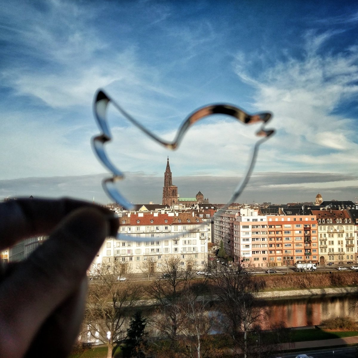 SxbGG's tweet photo. Bon week-end @strasbourg, 
Bon week-end @CathedraleLabs, 
Bon week-end @TwitterFrance, 

BON WEEK-END LES TWITTOS !! 🐦😘 https://t.co/wCmNU7iP99