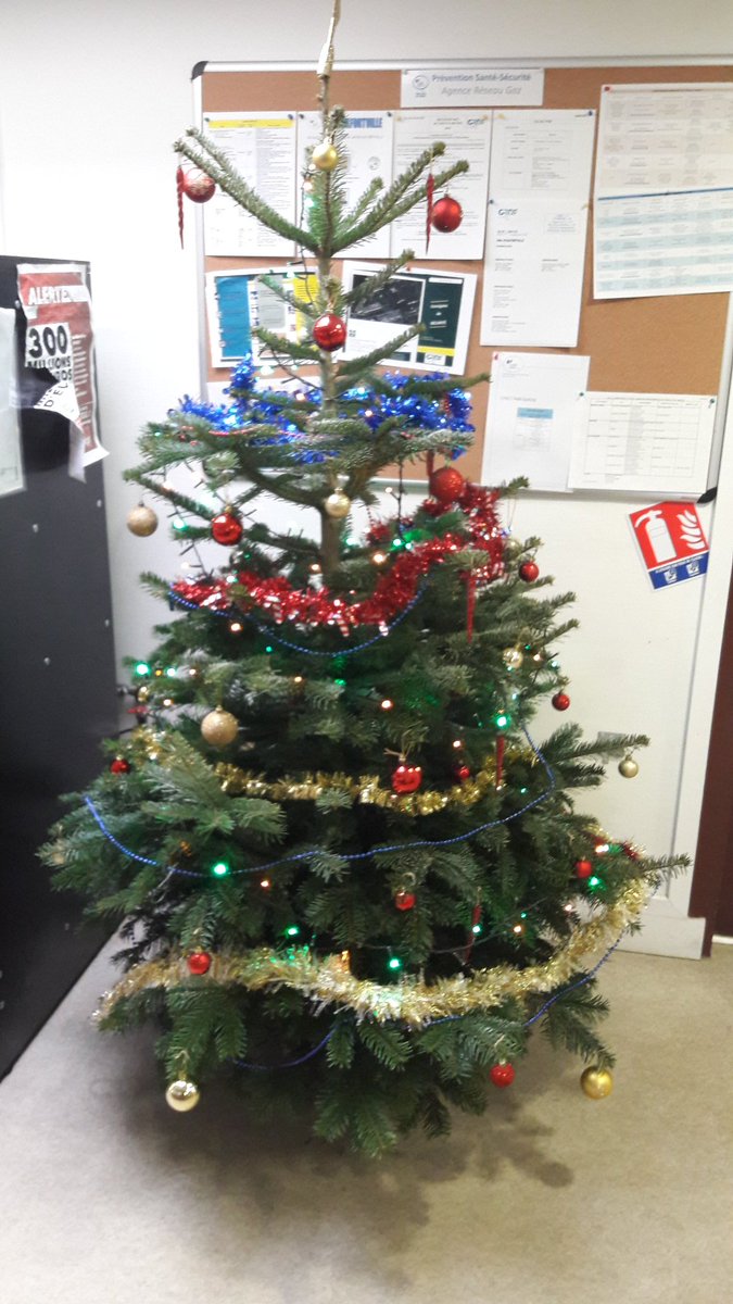 Alfortville aussi est au rendez-vous pour les fêtes de Noël ! <a href="/EstelleCA1/">Estelle_CA</a> <a href="/serop1876/">Serop Poladian</a> <a href="/DavidLgrdf/">David L</a> <a href="/MaximeD94/">Maxime DURAND</a> <a href="/AnneJardinGRDF/">Anne Jardin</a>