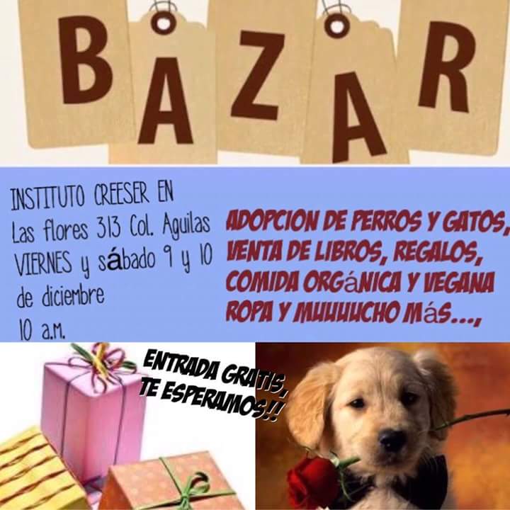 saskiabethsa's tweet photo. #BuenosDias #BackToMeAtMidnight Hoy los esperamos en nuestro Bazar Navideño #NoTeArrepentiras #OinksOinks ##OINKeselmejorregalo https://t.co/heMShRYP2Z
