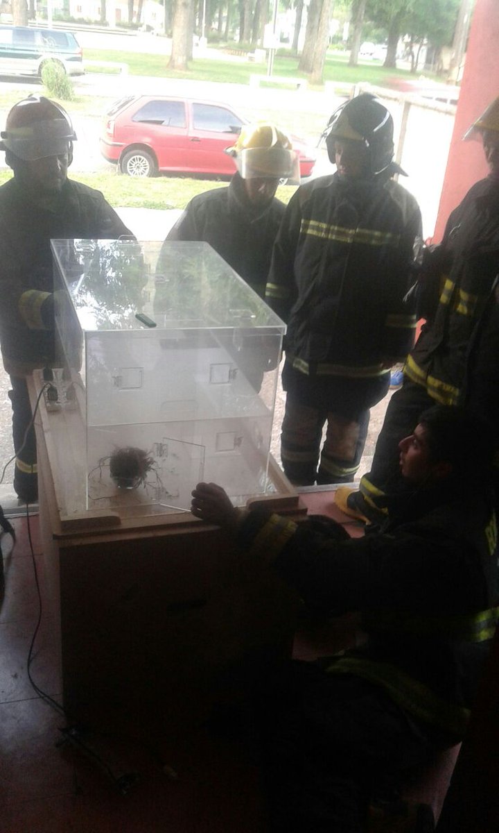 ANB14LosRios's tweet photo. En Máfil se desarrolló curso de Ventilación donde participaron bomberos de Máfil, San José, Valdivia @ANB_Chile @cbvaldiviacl https://t.co/ZzsO5qNq09