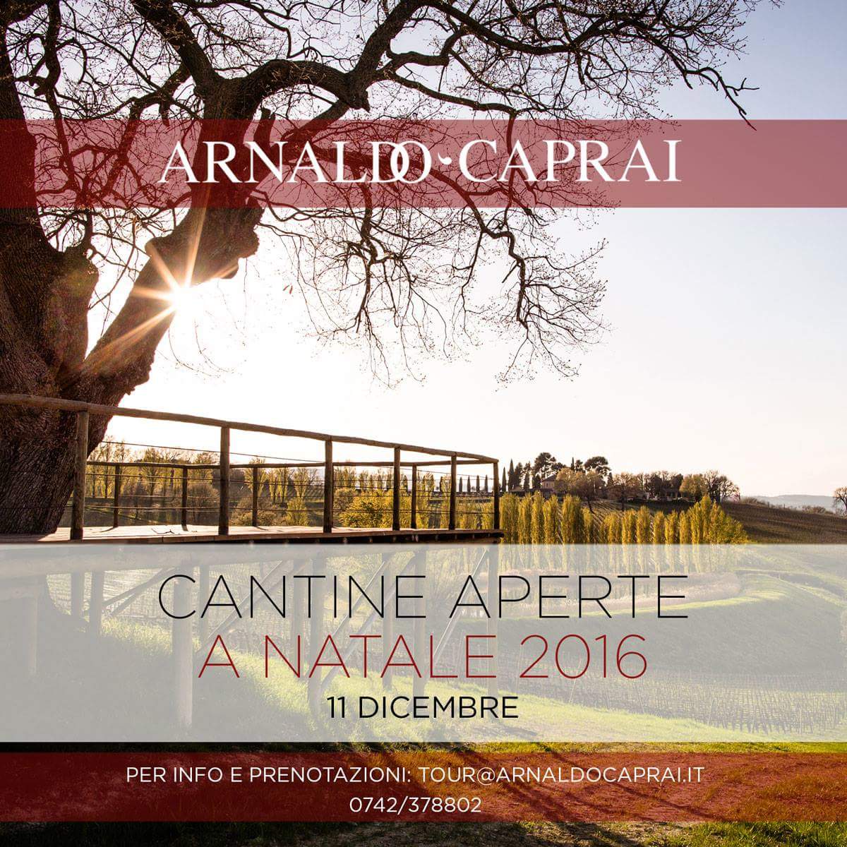 iswacademy's tweet image. Visitate la cantina @Arnaldocaprai  a Montefalco domenica 11 dicembre in occasione di #CantineAperte a #Natale!