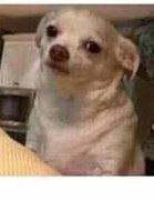 TxTheofficial's tweet photo. My face when someone asks me to #Describe2016UsingAMeme https://t.co/A3KkqOl3Eh