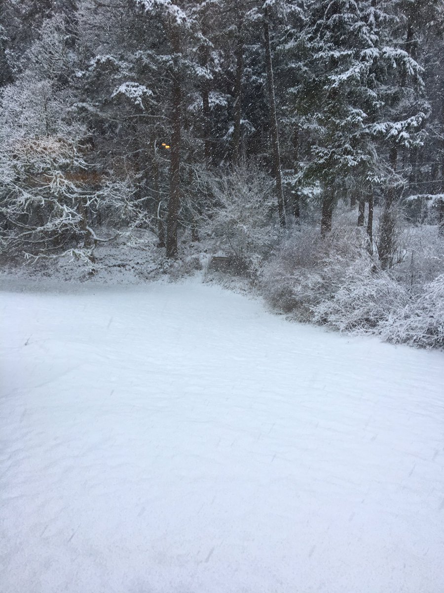 Pam_Shewchuk's tweet photo. #snowmageddon2016 #yyj https://t.co/vUduHKRCMK
