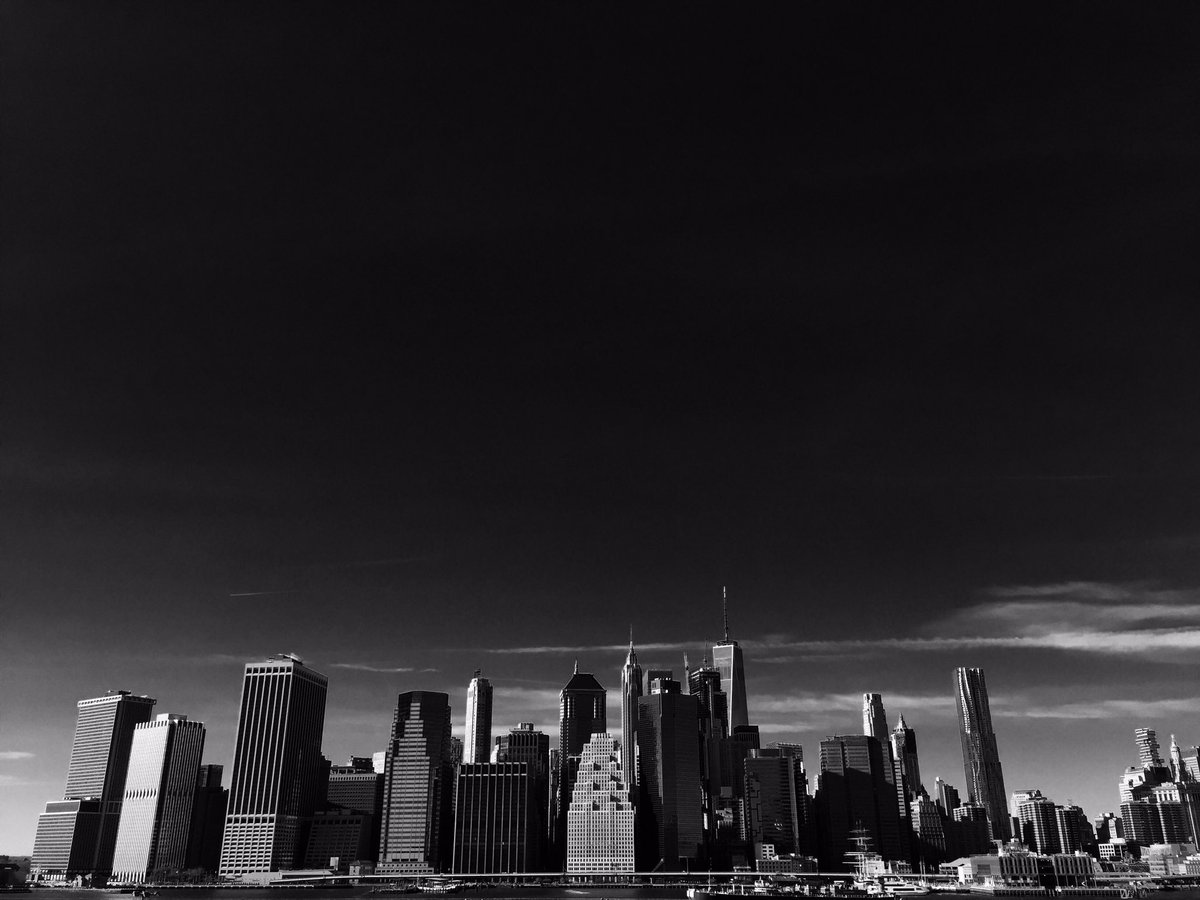 Manhattan skyline from Brooklyn park.