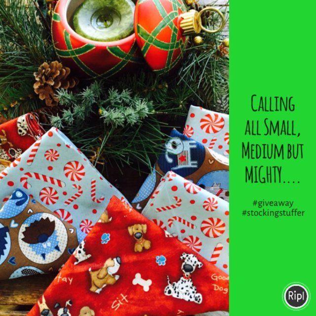 invisible_point's tweet photo. https://t.co/E23tL6bKax  #christmasgifts via https://t.co/wNHe0rUtI4 https://t.co/bomenCPH5b