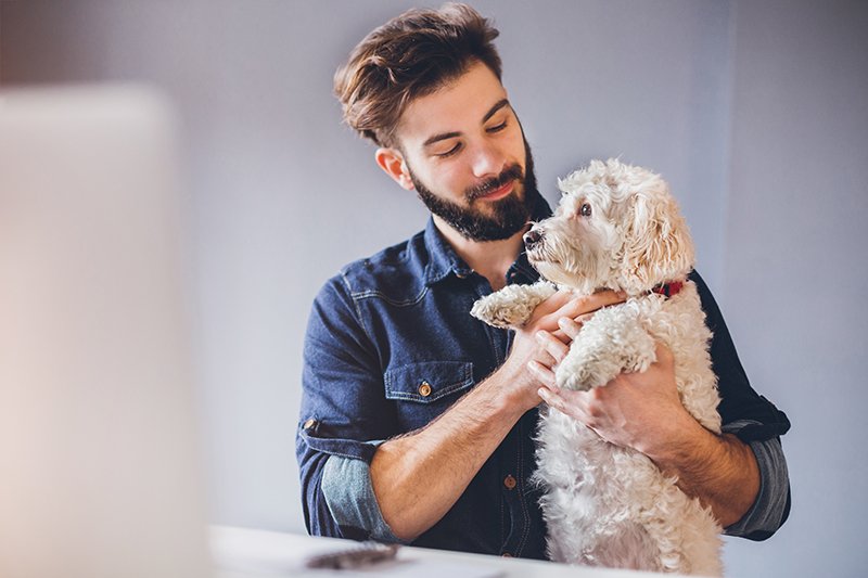#kantoorhond? Of hoe zorgt u voor #job #happiness? Met #donus stimuleer je via een opleidingsbudget! #officedogs #HR donus.be