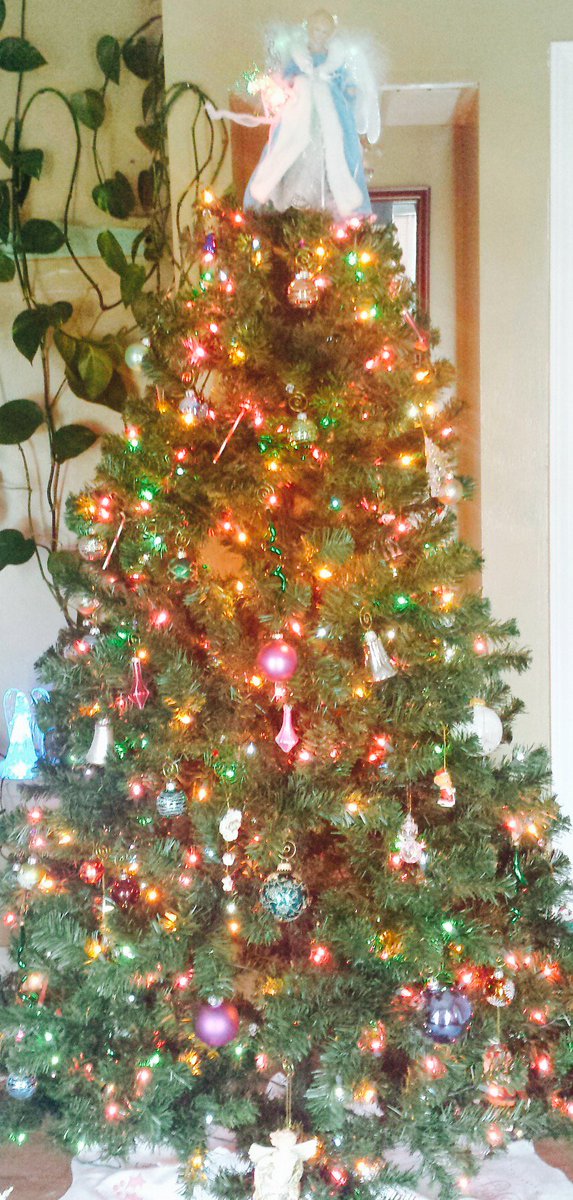 alcomgt's tweet photo. It's beginning to look a lot like Christmas! Check out these festive decorations from some of our KY properties! https://t.co/O4IaELiVqo