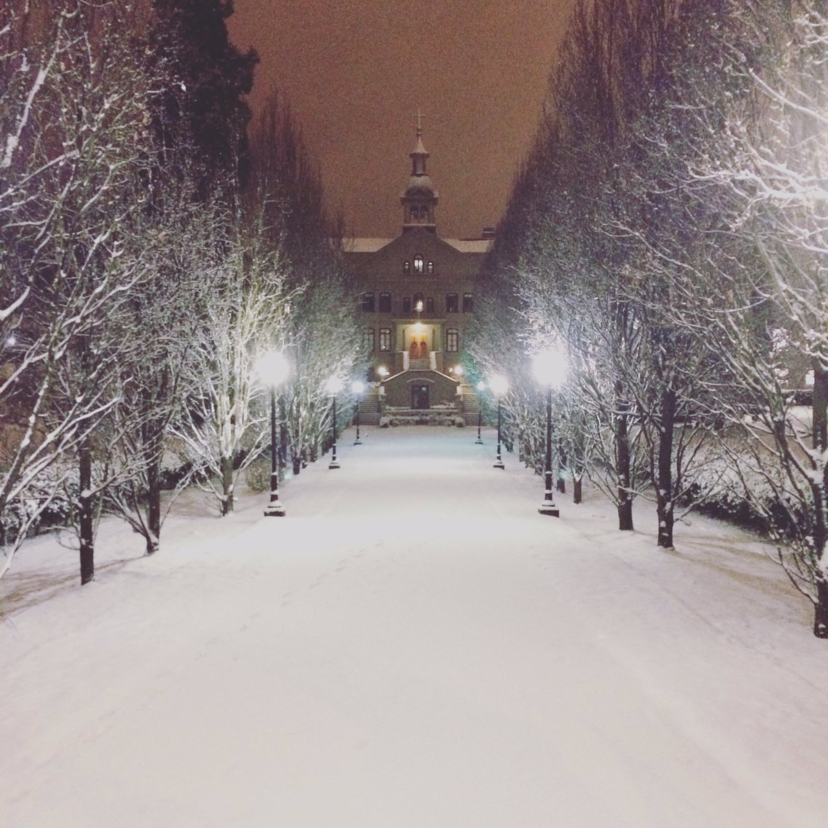 TreFantastico's tweet photo. Things are looking pretty magical down in the humboldt valley this morning! @StAnnesAcademy https://t.co/8v1ctc53NL
