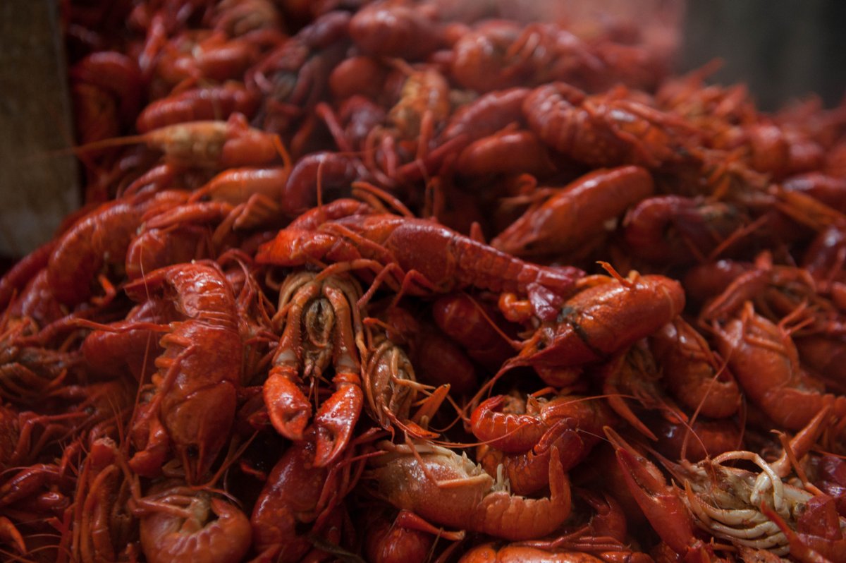 La. Seafood Board (@laseafoodboard) on Twitter photo Today! <a href="/DavidVitter/">David Vitter</a> announces petition withdrawn to regulate #crawfish bit.ly/2hndmaQ Today! <a href="/DavidVitter/">David Vitter</a> announces petition withdrawn to regulate #crawfish bit.ly/2hndmaQ