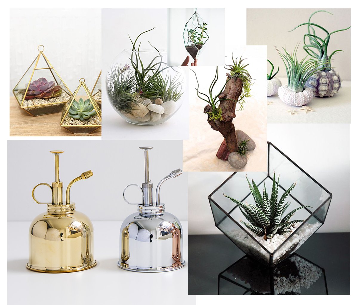 HawsWateringCan's tweet photo. Our stylish mist sprayers not only look great, but are perfect for watering succulents and air plants. Beautiful tools make great gifts. https://t.co/Gfp7zdnyJN
