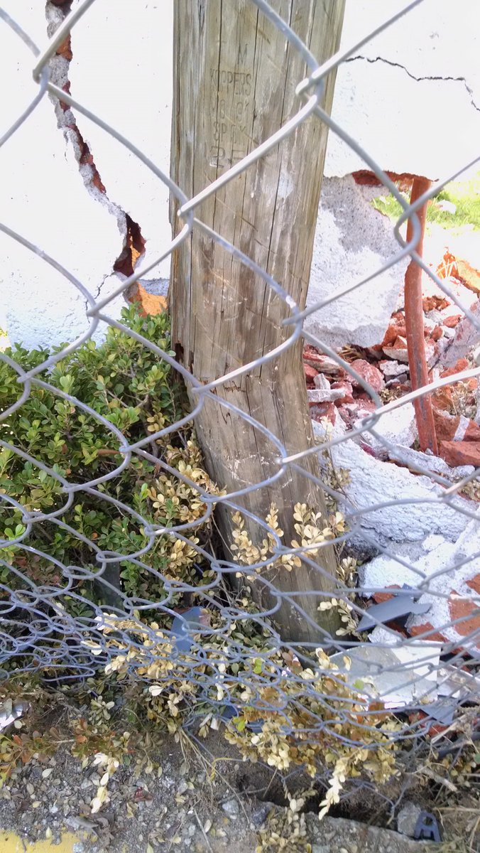 arpaseosbosque's tweet photo. @Telmex por favor solicutamos la reparación de poste ubicado en Av. Paseos del Bosque y Bosque de Arabedes, Paseos del Bosque. Gracias https://t.co/s8zEjm2wT9