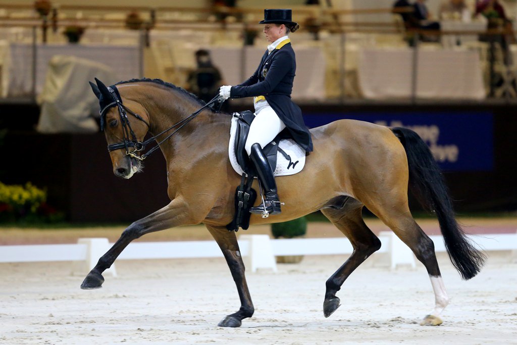 WDMevents's tweet image. Isabell Werth wins WDM Grand Prix with Emilio in Geneva, 77.580%. #CHIGeneve