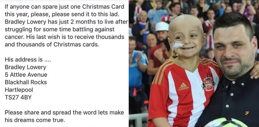 FootyAccums's tweet photo. A lad on our Facebook page sent us this regarding @Bradleysfight 

It's a top idea &amp; would only cos a couple of quid.👍 https://t.co/97Hc18GsX8