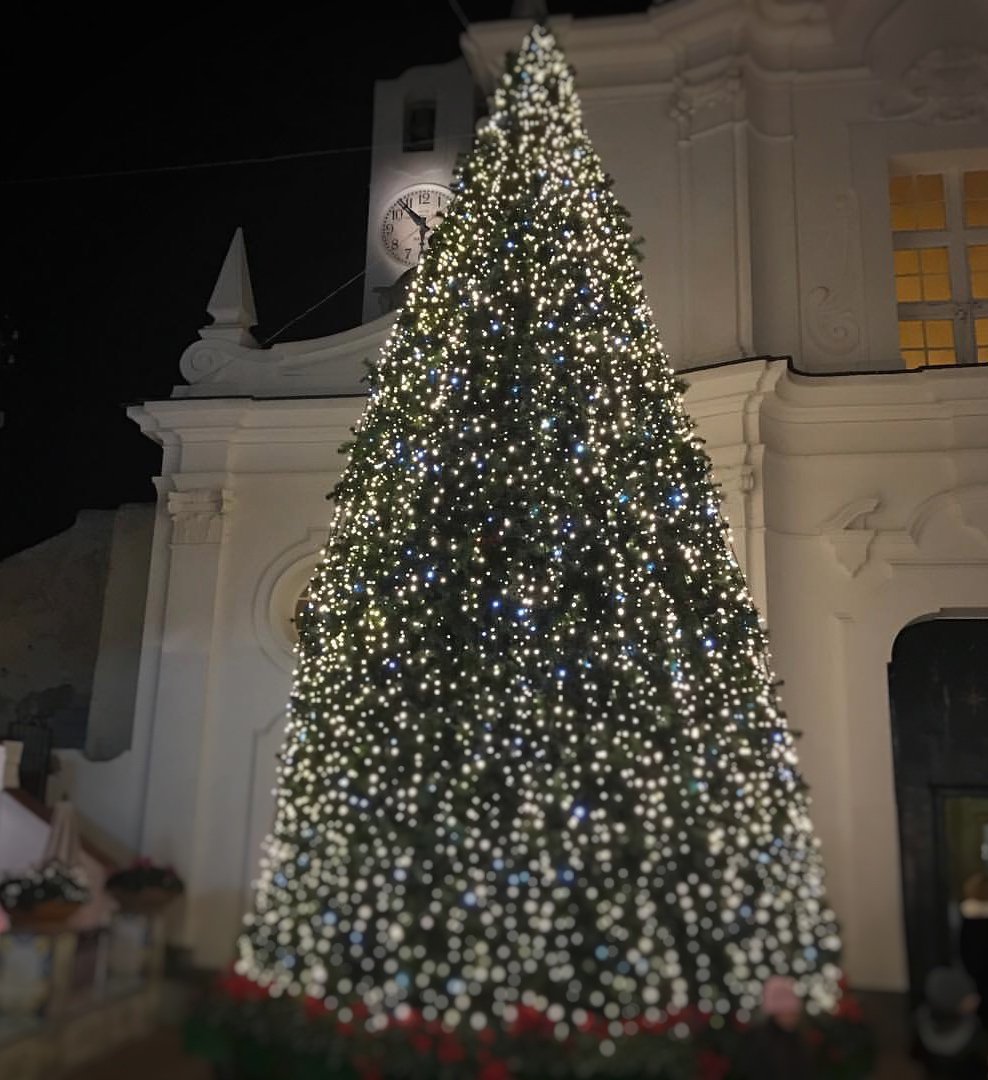 Christmas tree in #Anacapri brings the festive feeling! #capripalace #christmas #christmastree #FridayFeeling