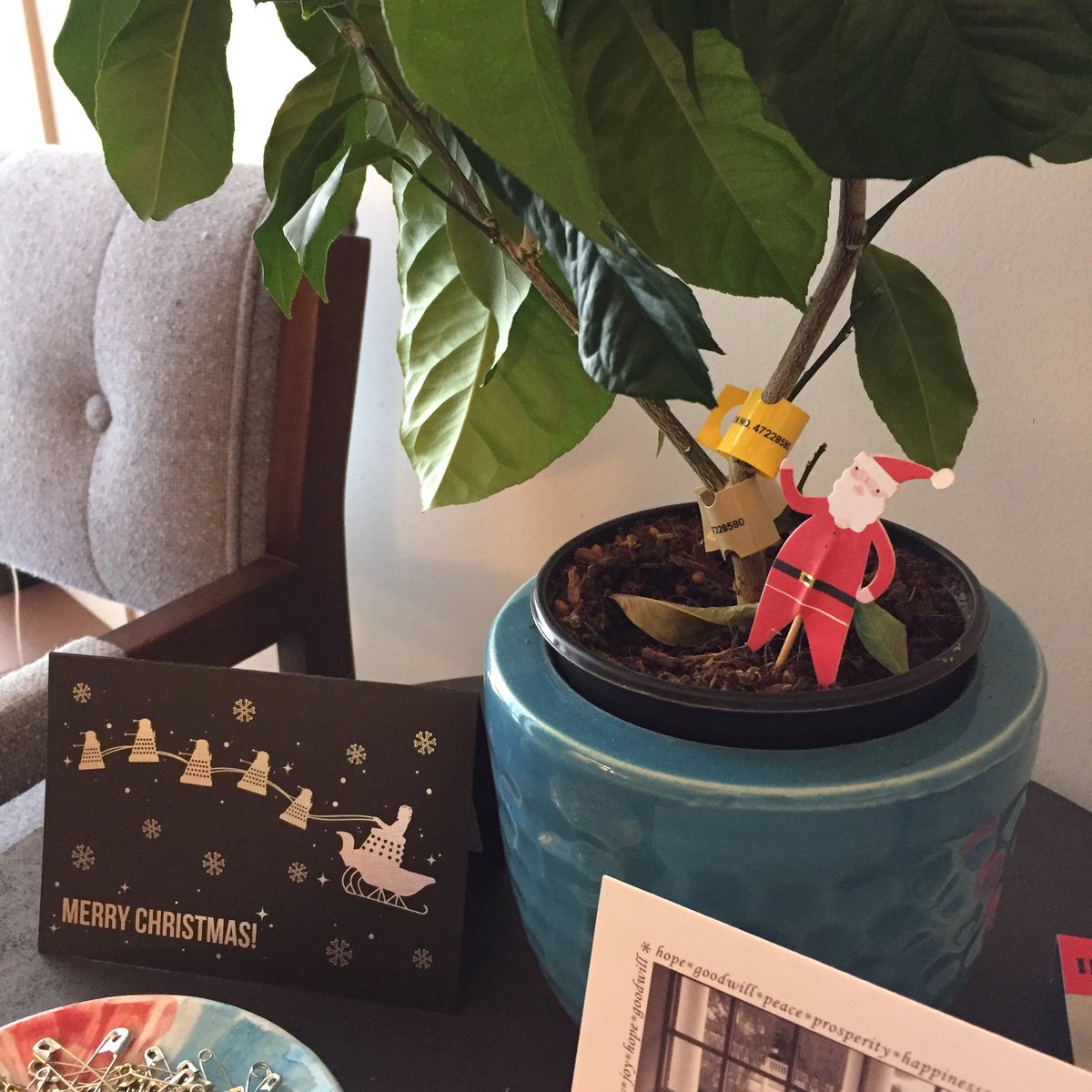 FlaGovBar's tweet photo. @theflabar This is as close as we'll get to a #BarTree on a state salary with voluntary dues :-/ https://t.co/KhCO0ZjDKl