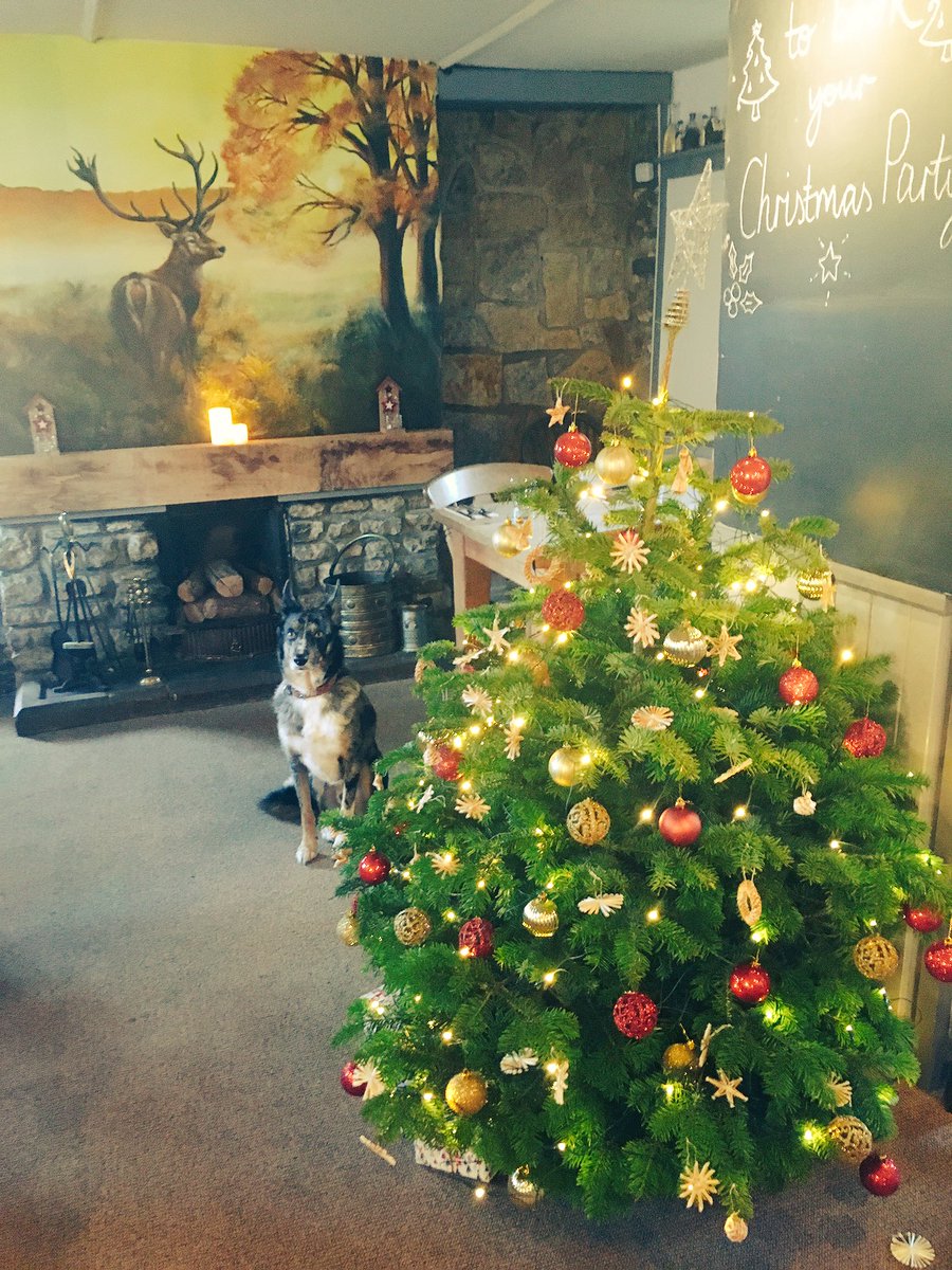 pubhalfmoon's tweet photo. 🎄It's not too late to book your Christmas party. #cosycountrypub  @thisisdorset @DorsetFoodDrink @palmersbrewery https://t.co/fAdyPoEpFh