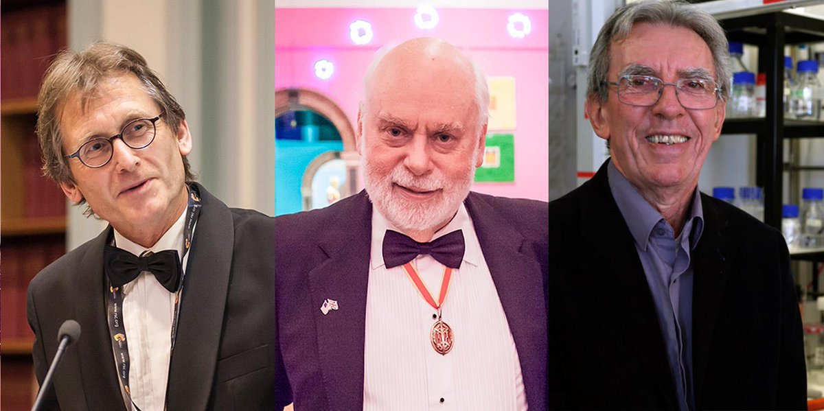 2016 Nobel prize lecture – live chemistryworld.com/news/2016-nobe…