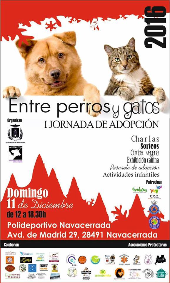 FTNavacerrada's tweet image. COMUNICADO: Navacerrada subvenciona el animalismo