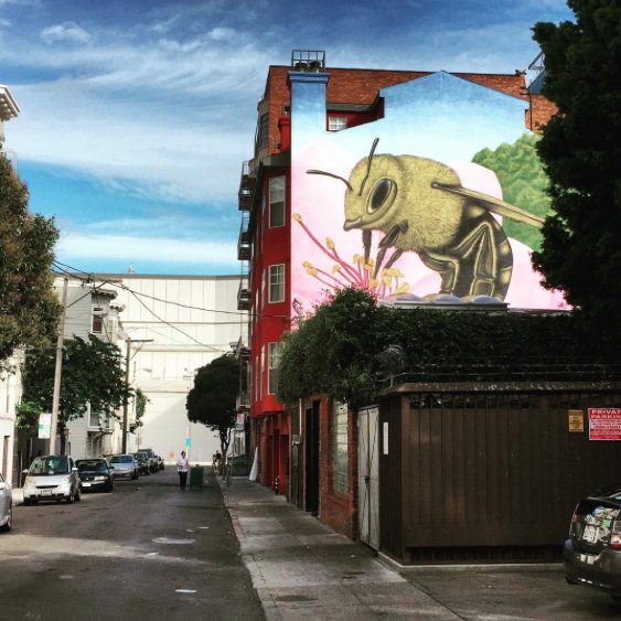 Look up! The creative inspiration is everywhere in #HayesValley.