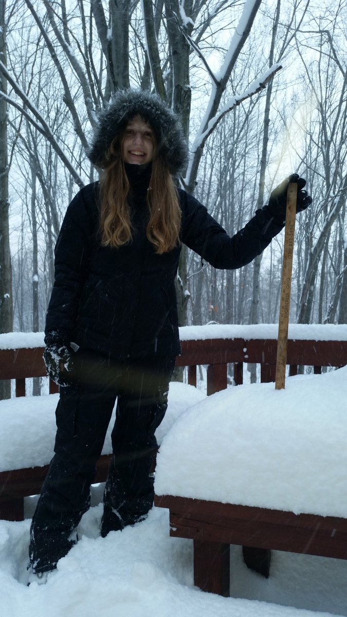 Electric Hornets tweet media