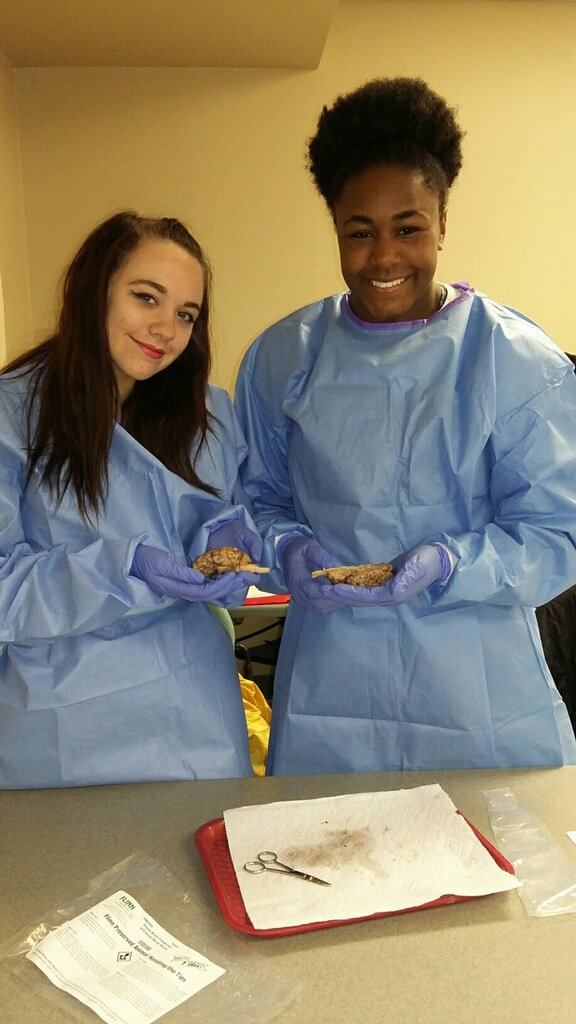 DrJeffGiovanni's tweet photo. @JPSHurricane @STEMAcademyJHS some of STEM Academy's finest dissecting sheep brains in Forrest City!! #CaneSTEM #CaneClassroom #STEMulation https://t.co/DqbMwRovSB