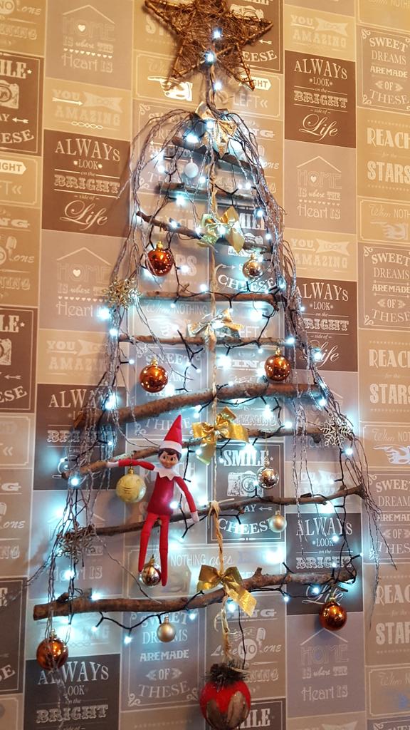 veggieilkley's tweet photo. A tree is for climbing right ??? #ShooLive #Ilkley #ElfOnTheShelf @veggieilkley https://t.co/Rq89AqBPxT