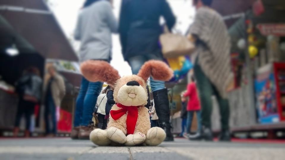 bartleojozefbus's tweet image. #FiraNadalXixona